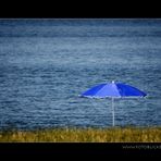 Der blaue Schirm