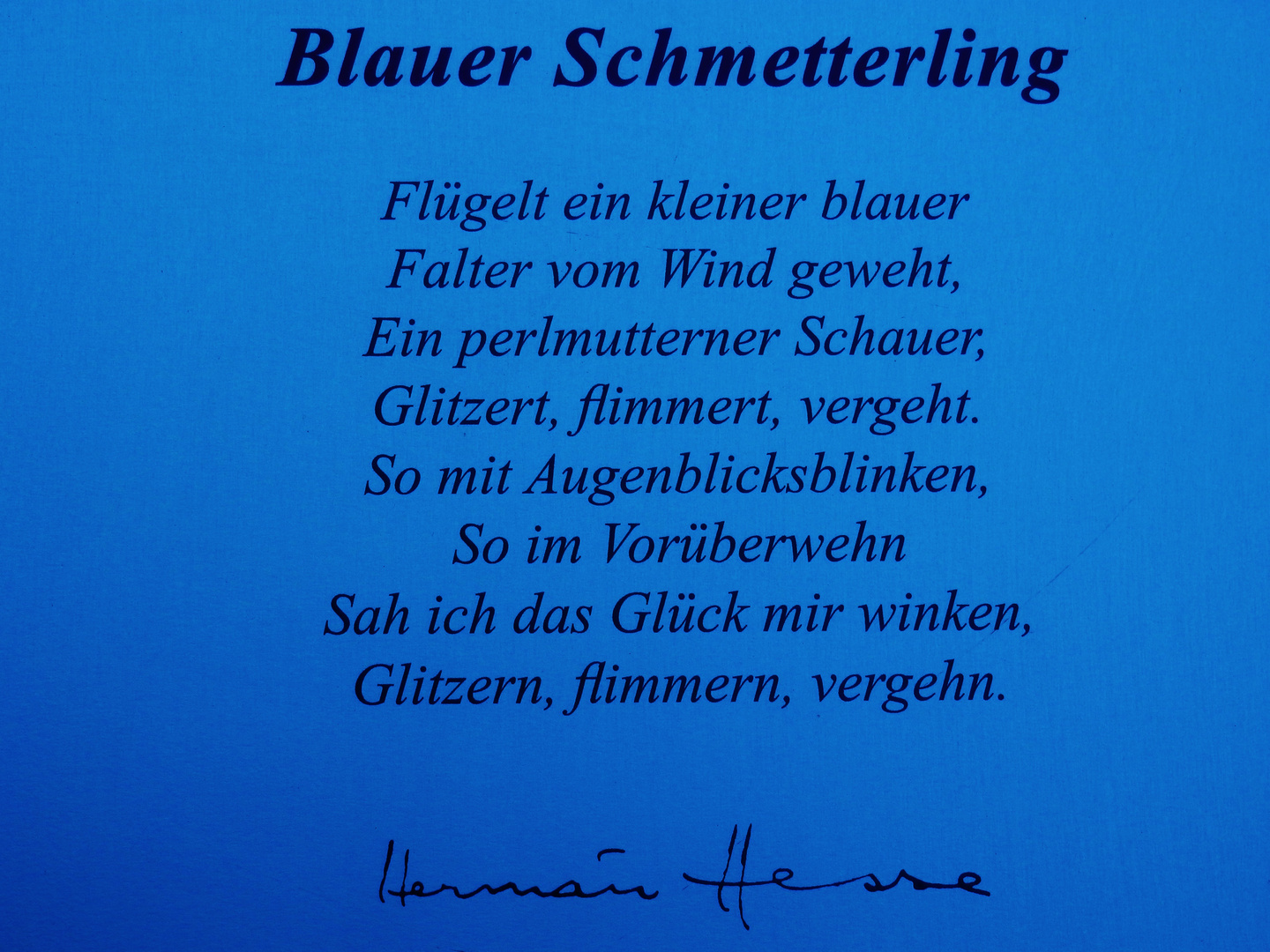 Der BLAUE Schmetterling/1