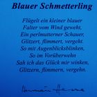 Der BLAUE Schmetterling/1