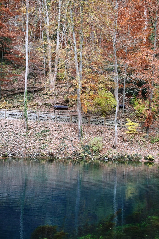 der blaue see im Wald