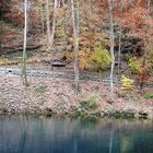 der blaue see im Wald