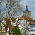 Der Blaue Turm von Bad Wimpfen