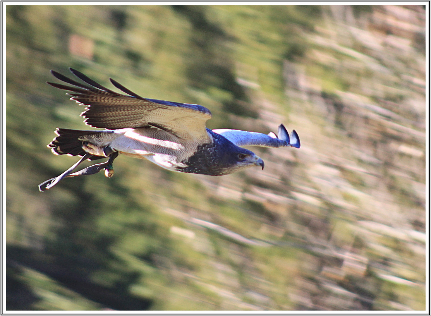 Der "Blaue" unterwegs