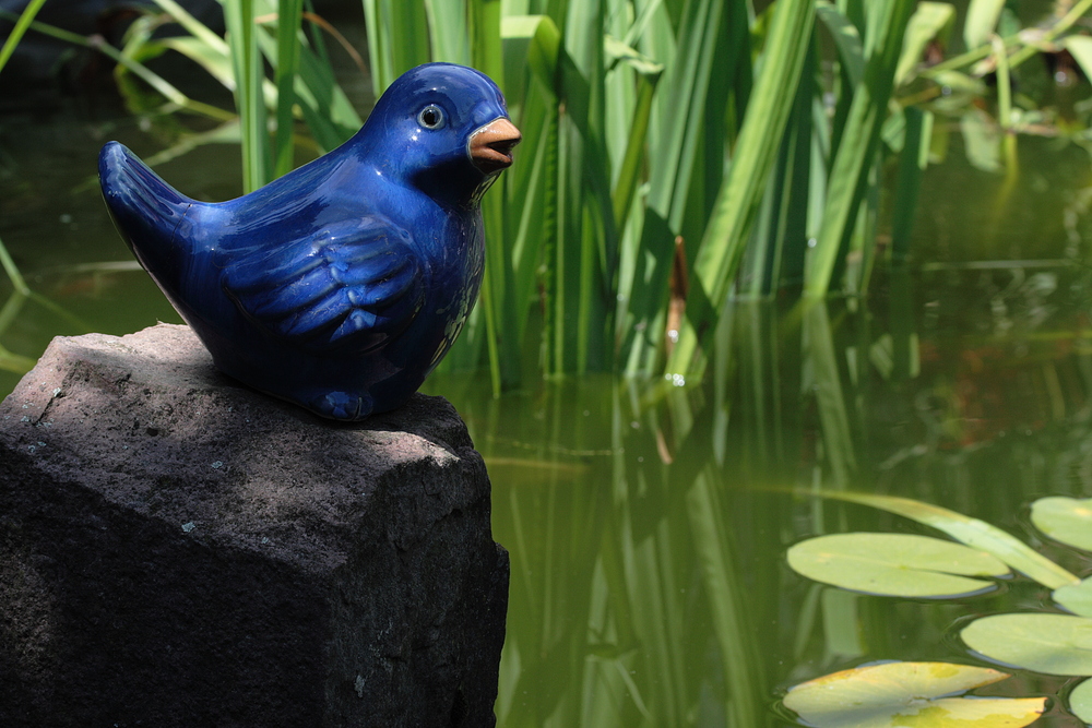 Der blaue Vogel