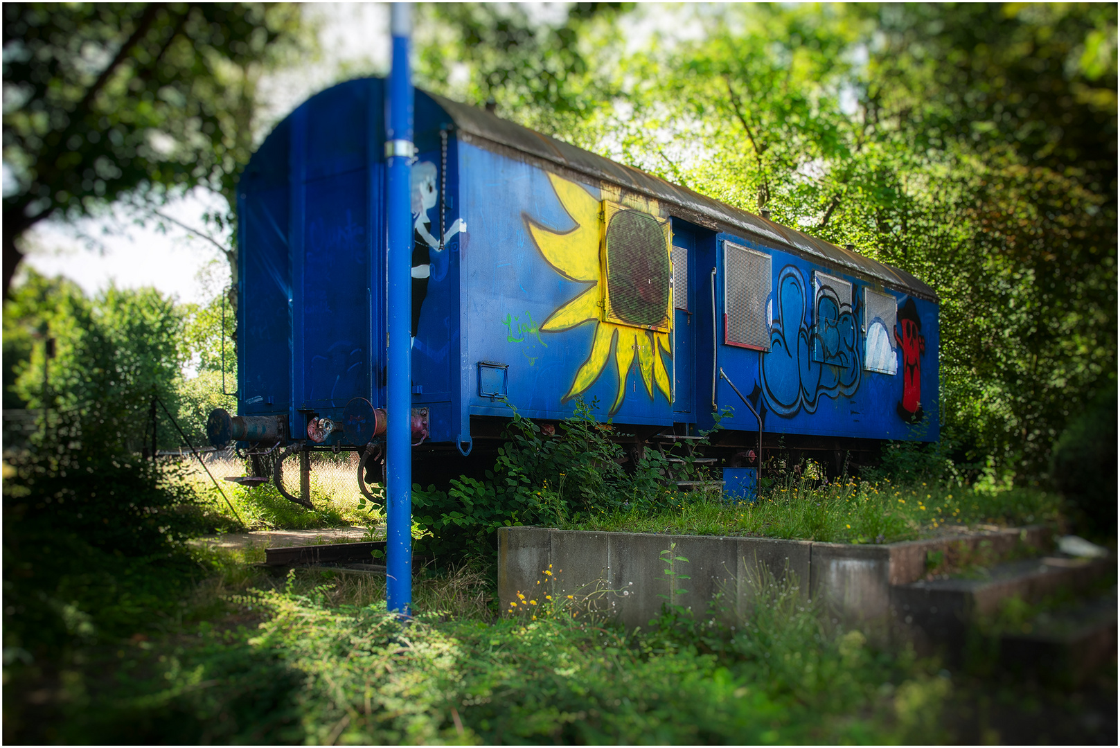 Der blaue Waggon und die gelbe Sonnenblume