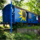 Der blaue Waggon und die gelbe Sonnenblume