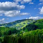 Der Blauen im Frühling