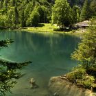 Der Blausee im Berner Oberland