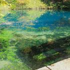 Der Blautopf