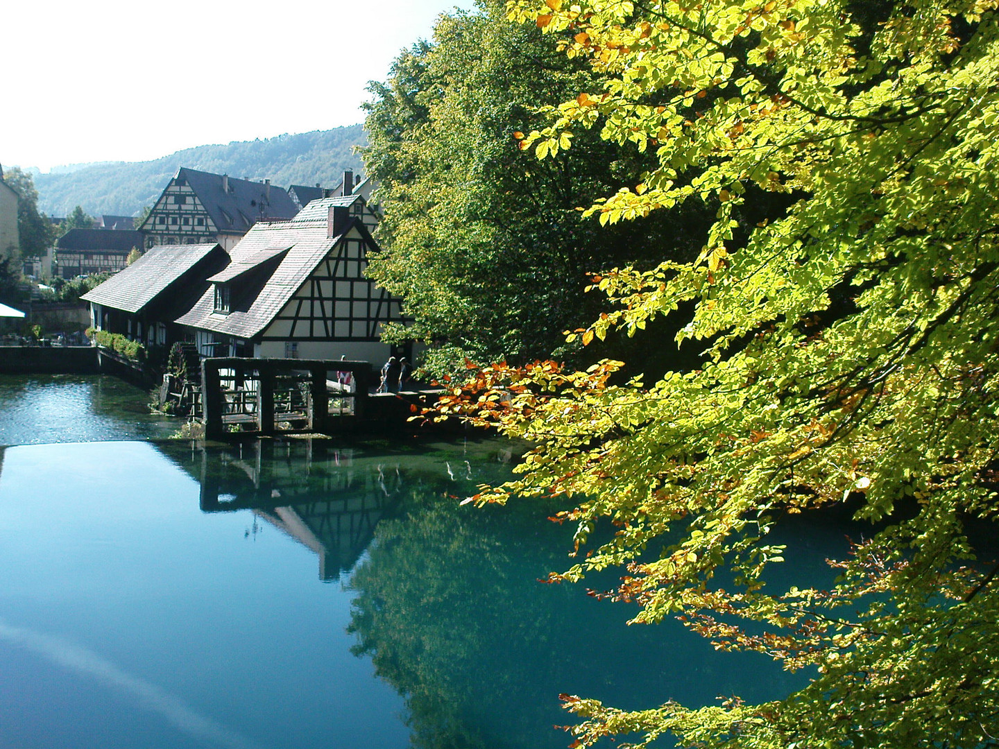 der Blautopf