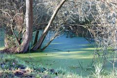 der Blautopf ...