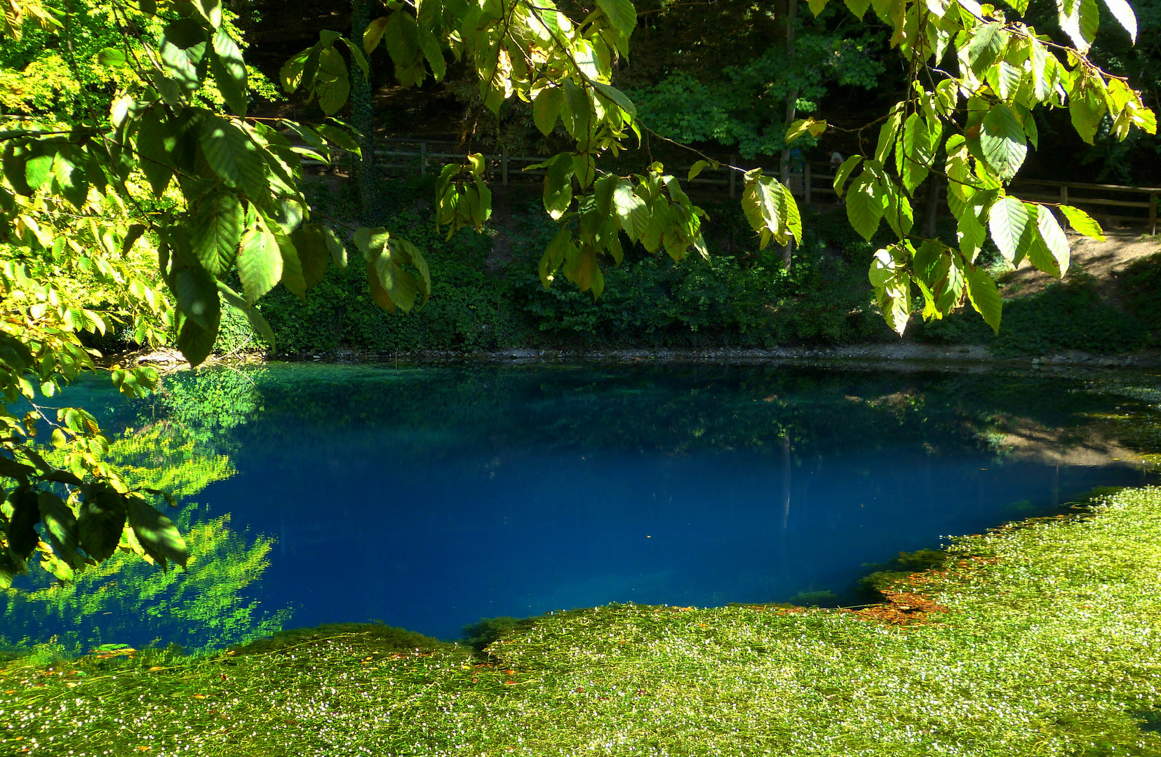 Der Blautopf