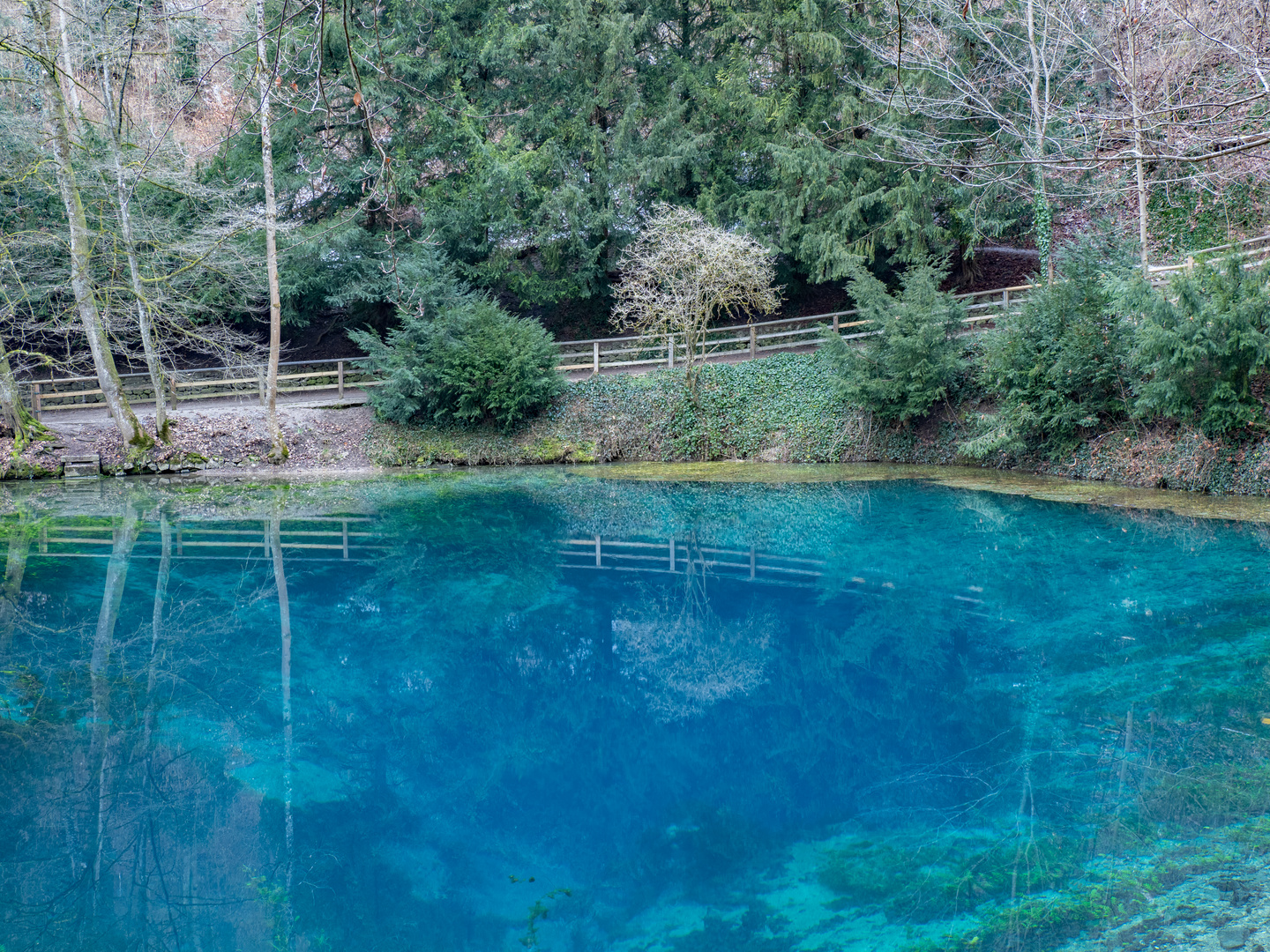 Der Blautopf