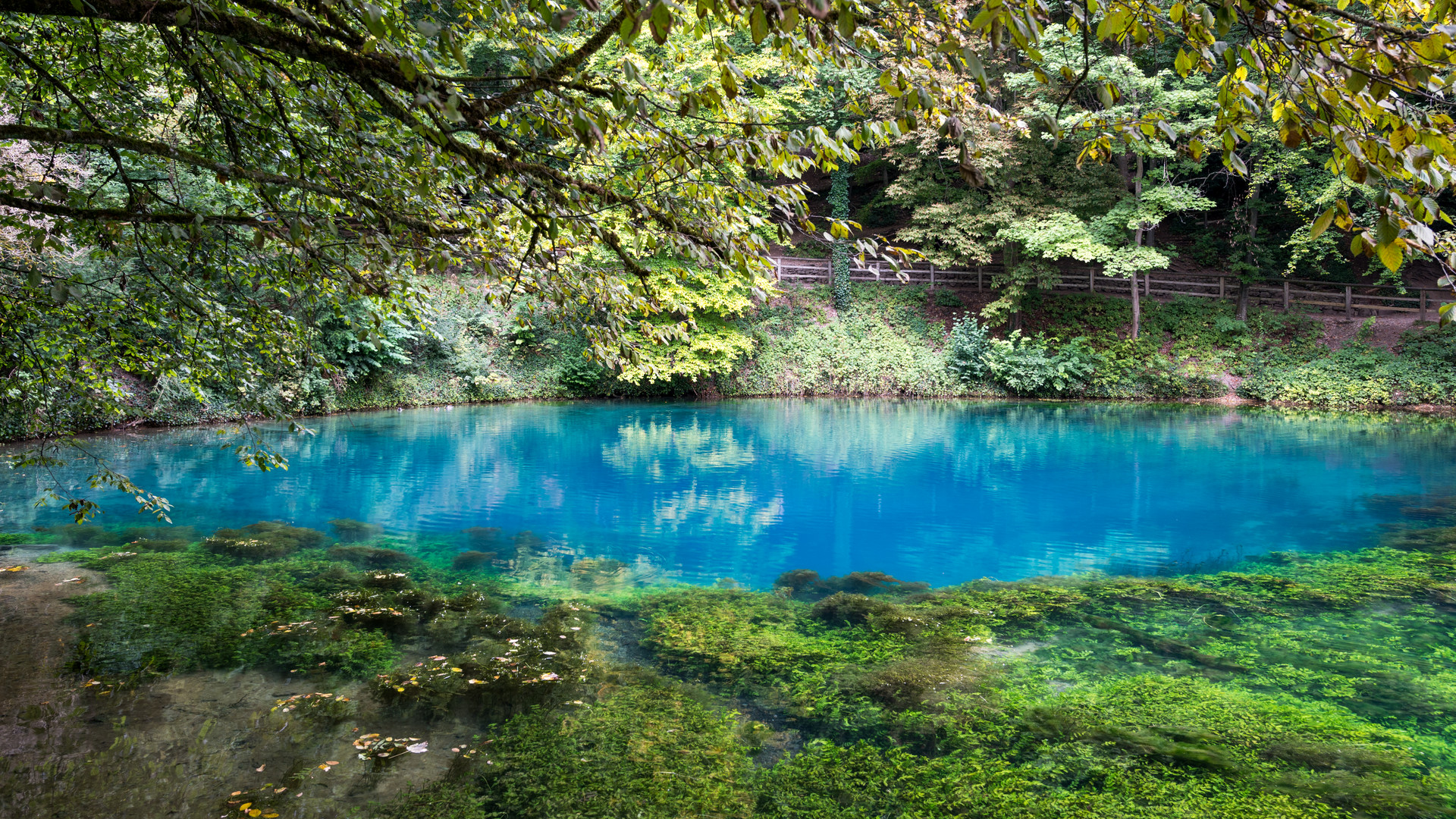 Der Blautopf