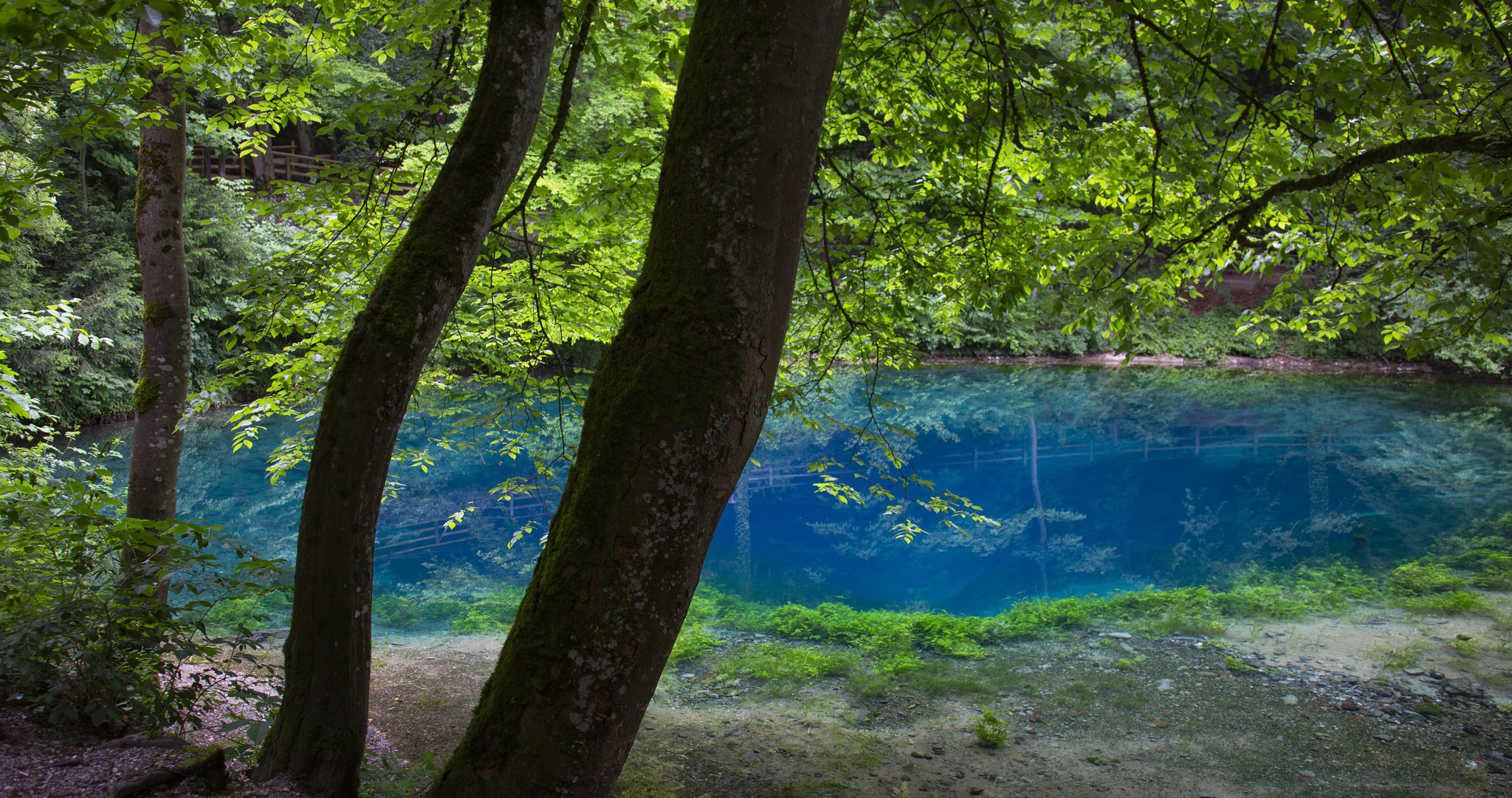 Der Blautopf