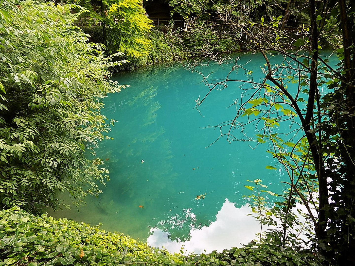 Der Blautopf