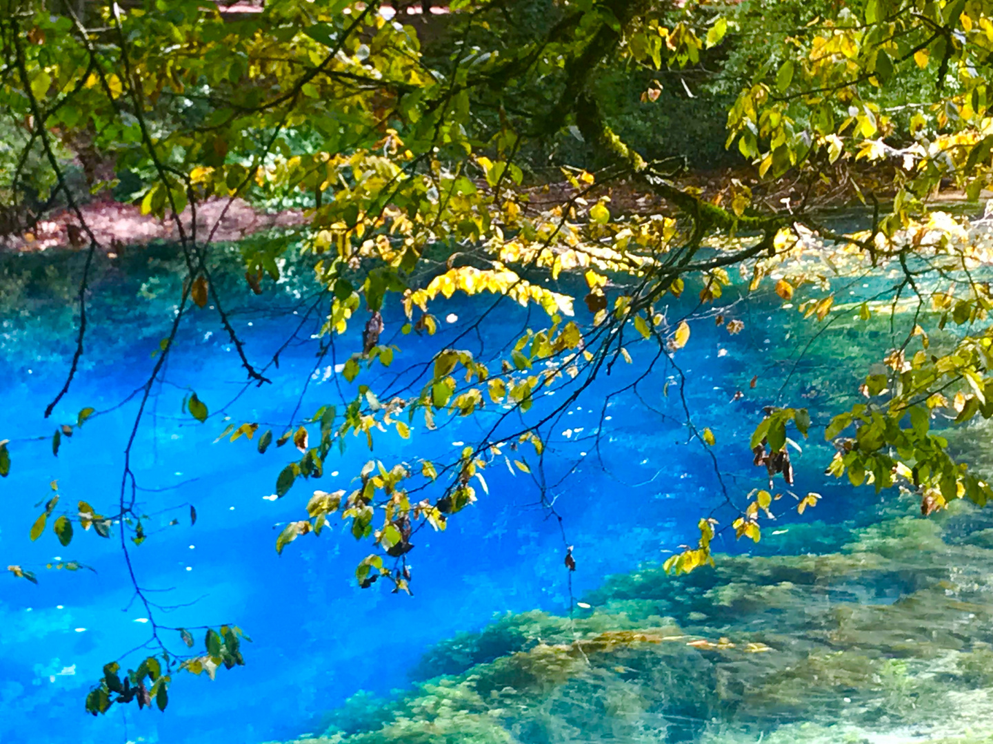 der Blautopf im Herbst 