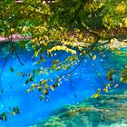 der Blautopf im Herbst 