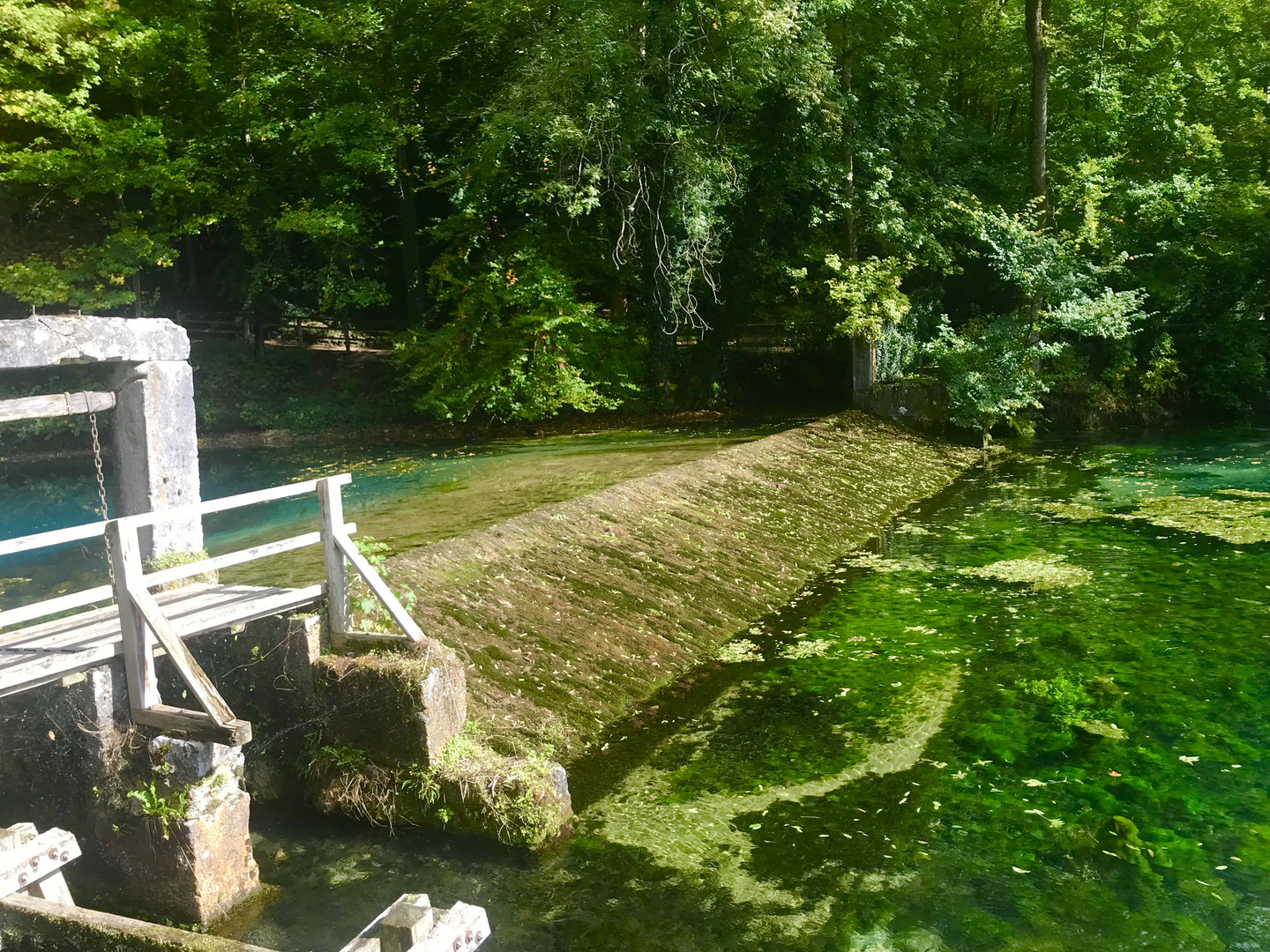 Der Blautopf im Oktober 