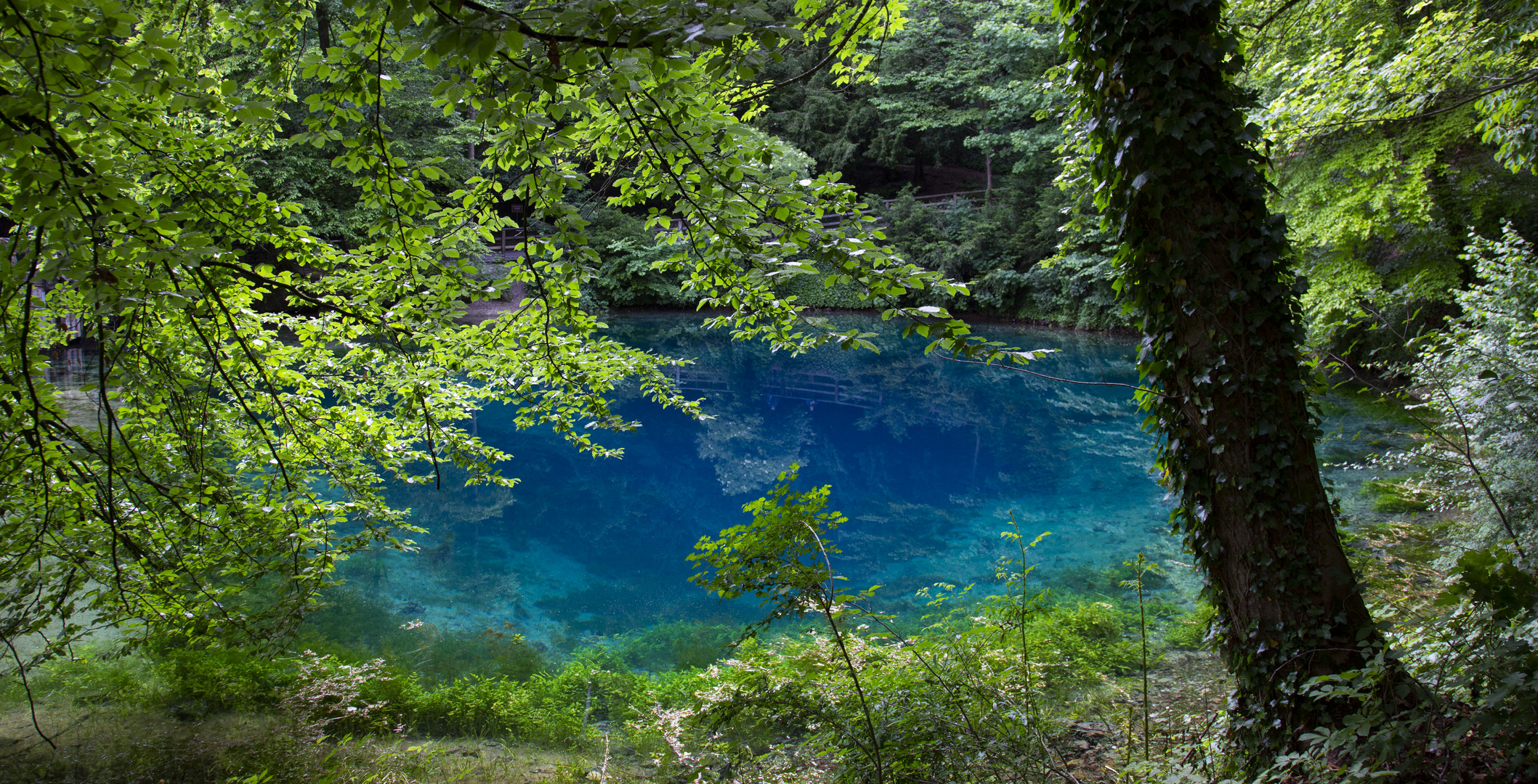 Der Blautopf in Blaubeuren