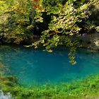 Der Blautopf in Blaubeuren bei Ulm