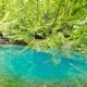 Der Blautopf in Blaubeuren in Baden-Wrttemberg