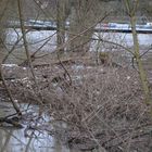 Der bleibende Müll nach dem Hochwasser