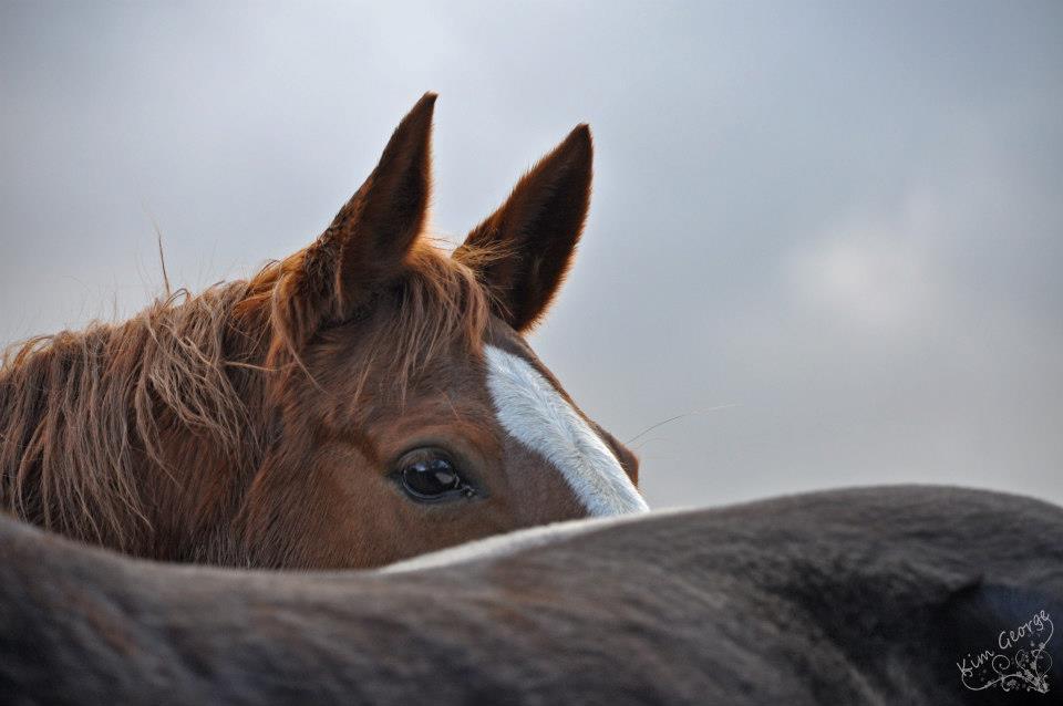 Der Blick...