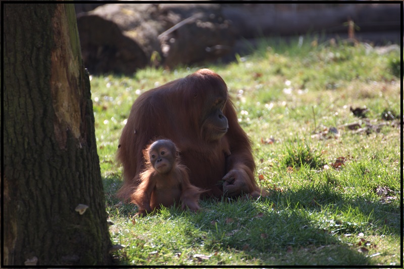 Der Blick