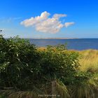 Der Blick auf "Baltrum - Bald-rum" von der Insel Langeoog