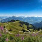 Der Blick auf den Hahnenkamm