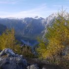 Der Blick auf den Königssee vom Jenner aus