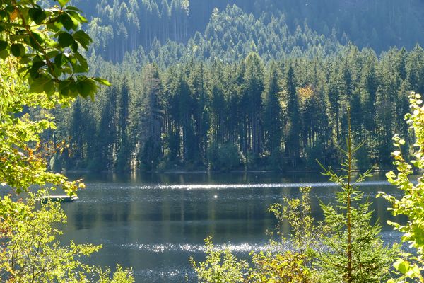 Der Blick auf den Ödensee
