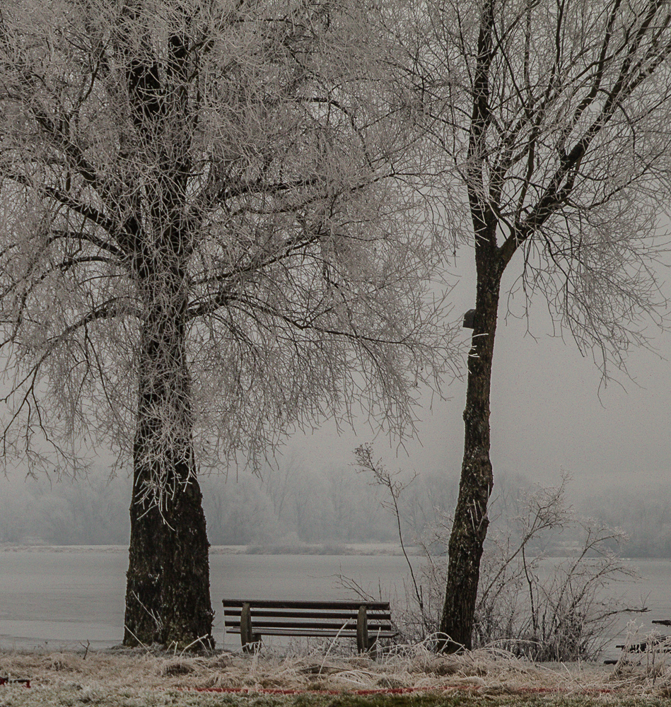 Der Blick auf den See