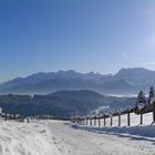 Der Blick Auf die Alpen