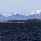 Der Blick auf die Königscordilleren am Titicacasee auf der Bolivianischen Seite