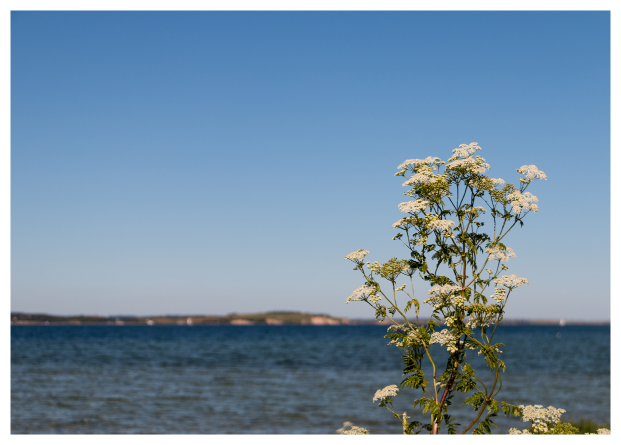 der Blick auf die Ostsee