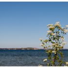 der Blick auf die Ostsee