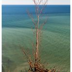 der Blick auf die Ostsee