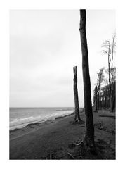 der Blick auf die Ostsee