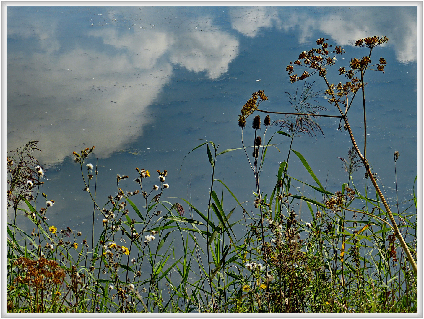 Der Blick aufs Wasser 