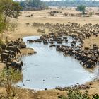 Der Blick auf´s Wasserloch, 2019.09.19. - Mana Pools NP, Kavinga Camp