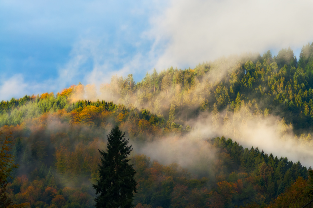 Der Blick aus dem Fenster