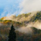 Der Blick aus dem Fenster