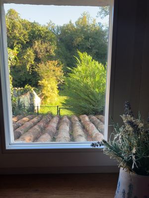 der Blick aus dem Fenster