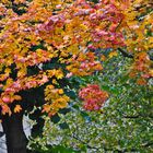 der Blick aus dem Fenster