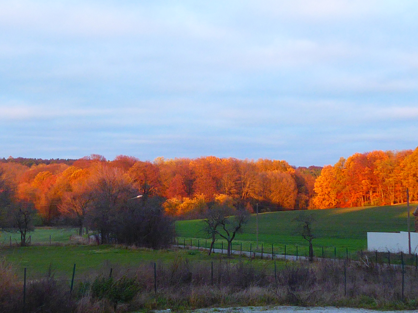 Der Blick aus dem Fenster....