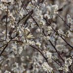 der Blick aus dem Fenster 