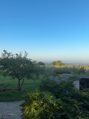 Der Blick aus dem Fenster am frühen Morgen