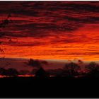 Der Blick aus dem Fenster heute um 18:30 Uhr.